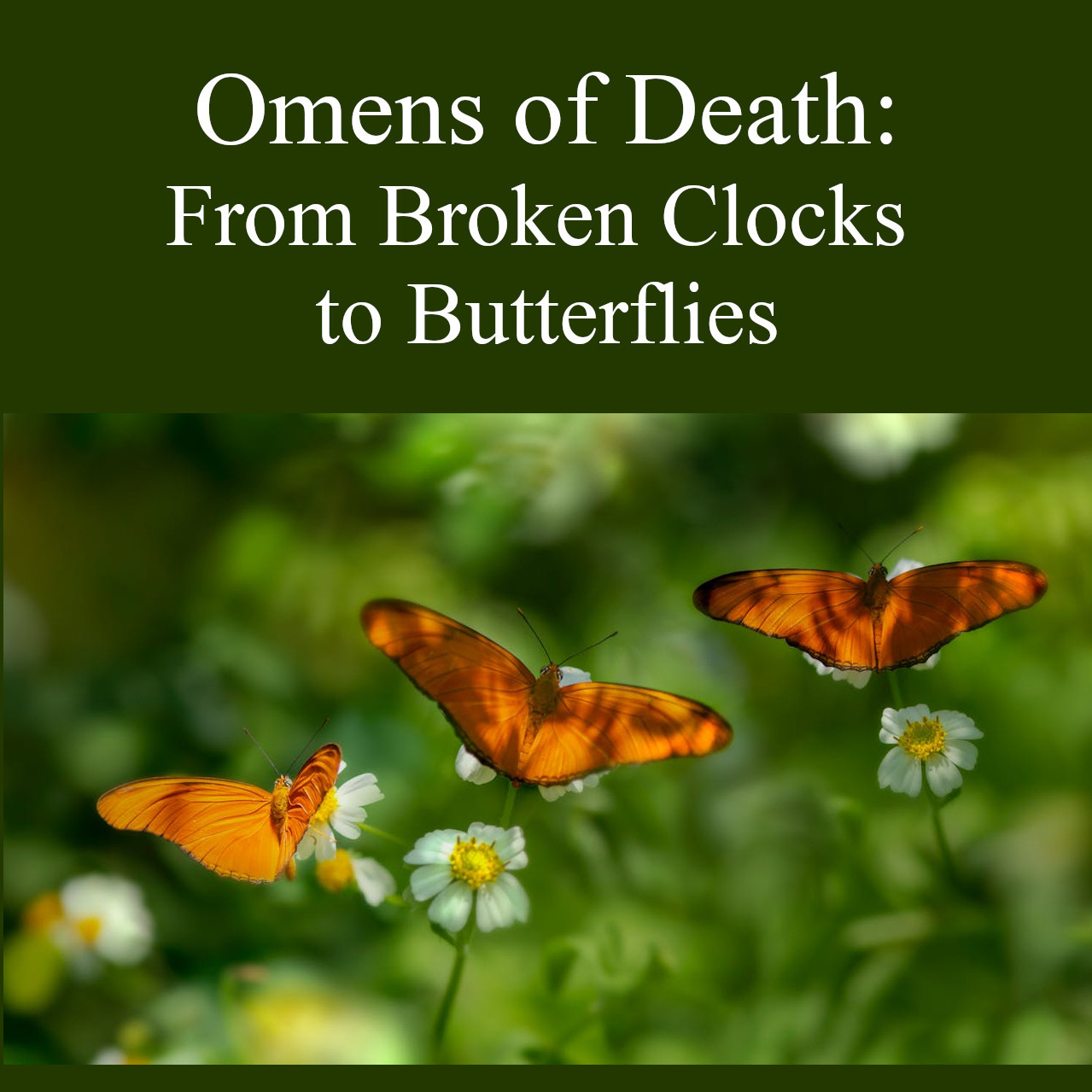 A photo by Erik Karits on Pexels of three orange butterflies landing on white and yellow daisies, with a background of greenery. https://www.pexels.com/photo/butterflies-perched-on-white-flowers-9366968/