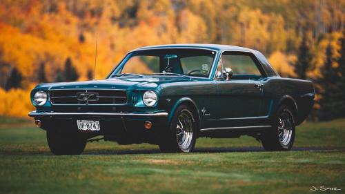 Something quite different than what I normally shoot. 1965 Ford Mustang Coupe in Twilight Turquoise 