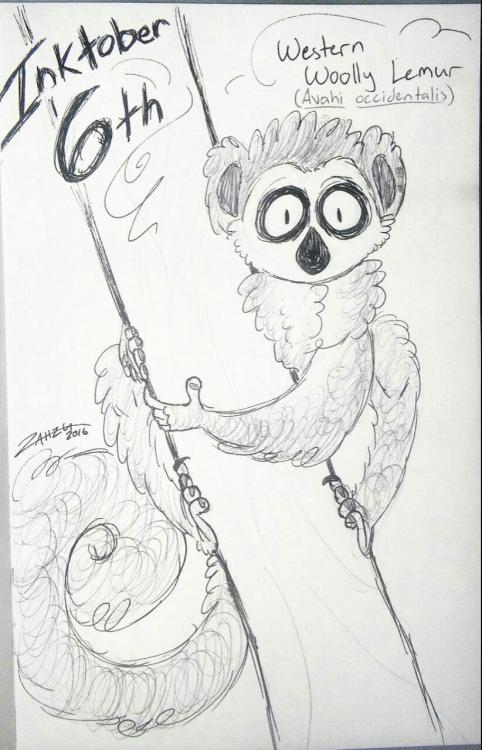 Inktober 6th &ndash; Western Woolly Lemur!More back-logged Inktober uploads &ndash; but this one&rsq