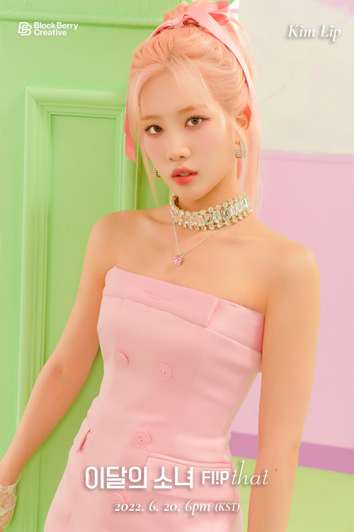 kpopmultifan: LOOΠΔ has released individual concept photos of Kim Lip &amp; ViVi for t