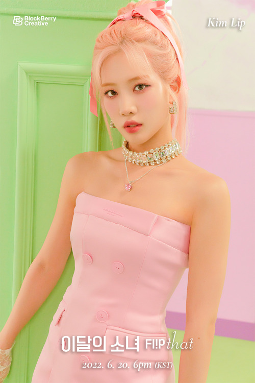 kpopmultifan:LOOΠΔ has released individual concept photos of Kim Lip & ViVi for their upcoming