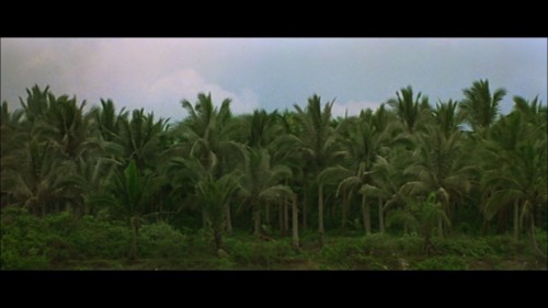 Apocalypse Now | 1979 | Francis Ford Coppola