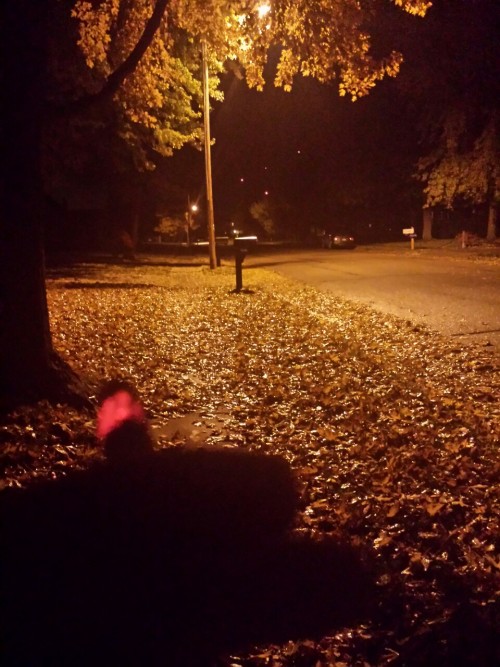 refuser:  late night walks all alone, its beautiful.