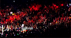 itseulonzobiitch:  WWE + Crowd Porn 