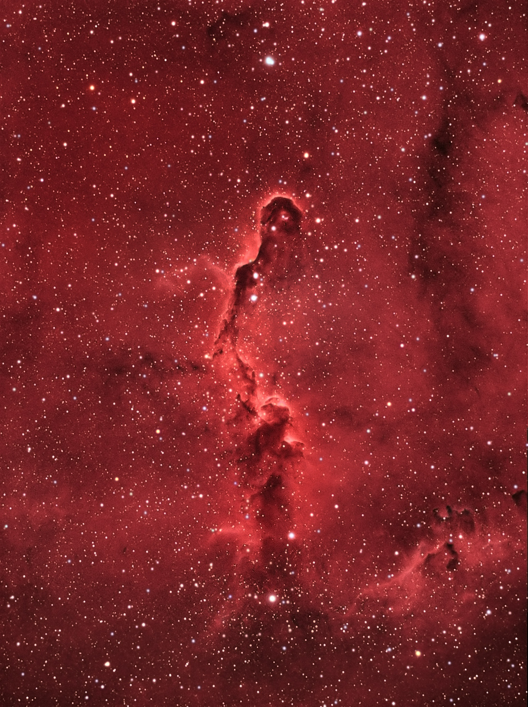 sixpenceee:  This is the Elephant’s trunk nebula. A nebula is an interstellar
