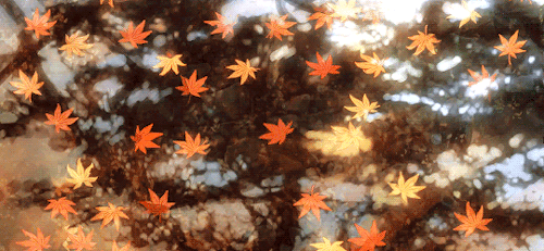 tohmura:  AUTUMN (秋)