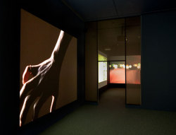 avtavr:  Doug Aitkenelectric earth, 1999Eight DVD installationEdition &frac34;,Dimensions variable.The Museum of Contemporary Art, Los Angeles.Exhibition photo by Brian Forrest,2010.   
