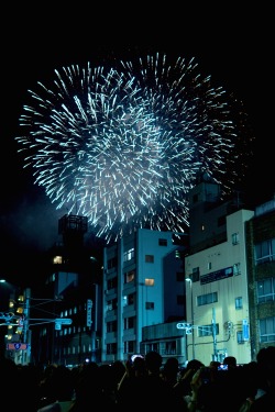 ivvvoo:  Sumida River Firewroks Festival by Yoshikazu