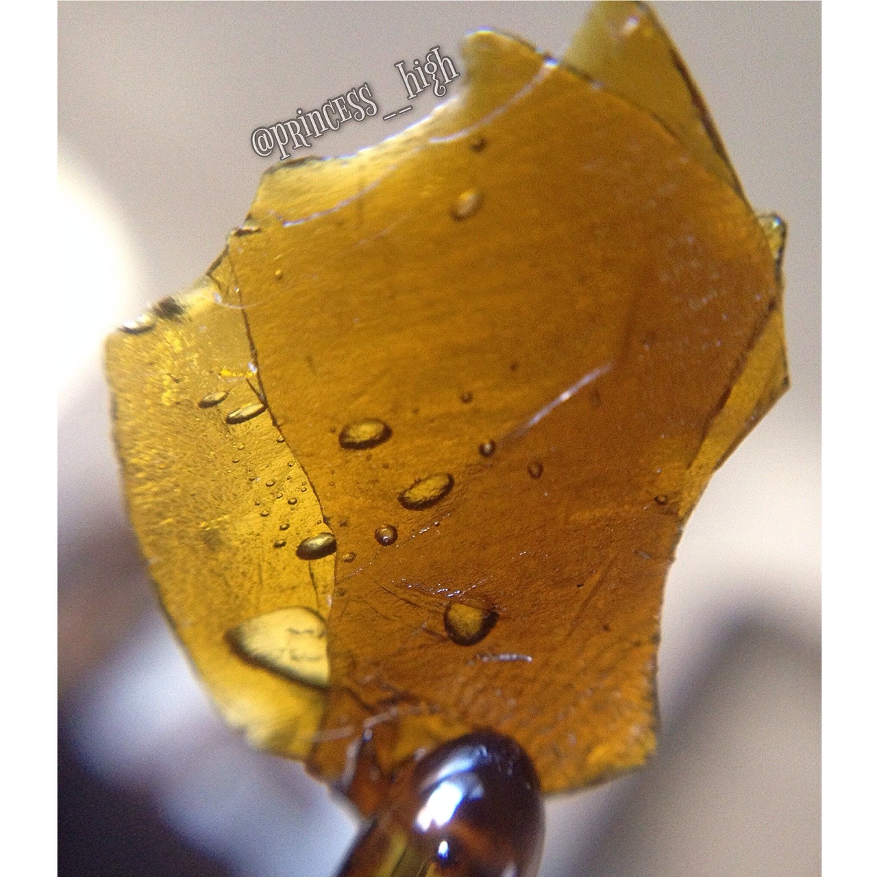 swi-ne:  Happy late Shatterday, friends!