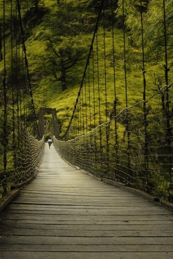 sublim-ature:  Basque Country, FrancePascal