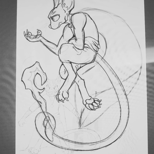 W.I.P of mage cat!#supersody #artistsoninstagram #sphynx #sphynxcat #anthro #wip www.instagr