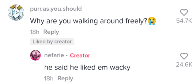 A screenshot of Tiktok comments with character portraits overlaid on the user icons. Ermine's reply: "Why are you walking around freely? ". Barbie replies: "he said he liked em wacky".