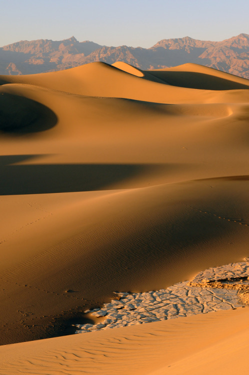 straangetimes:Mesquite Flat Sand Dunes, Death Valley, California (by james_gordon_losangeles)