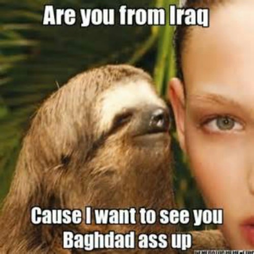 #sloth #iraq #baghdad #ass #up #fuckyouitsfunny #backthatassup