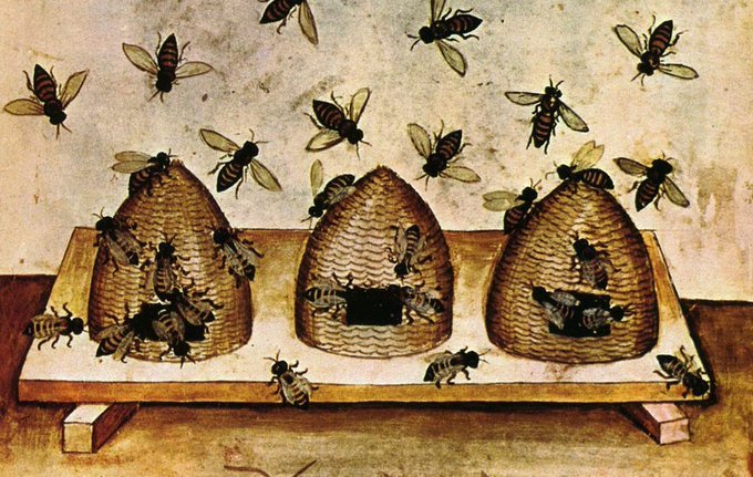 irisharchaeology:   Bees were so important in Early Medieval Ireland that they had