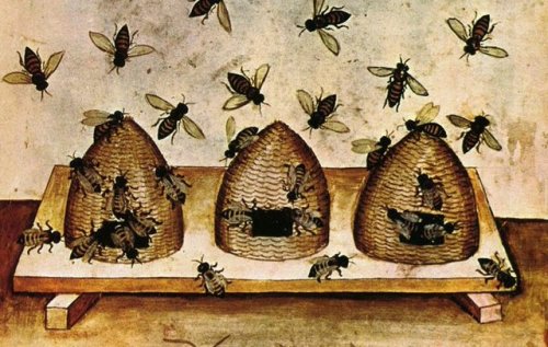 Porn Pics irisharchaeology:   Bees were so important