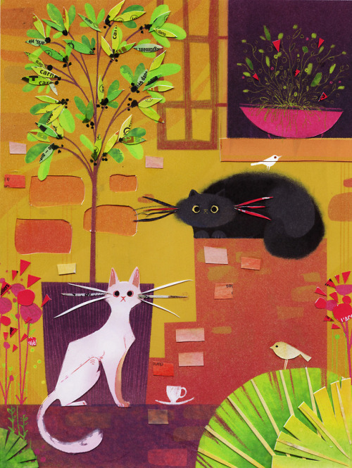 zandrami:Cat Collage 