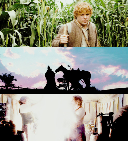 bensoloh-blog:  the Fellowship of the Ring screencaps pt 1 