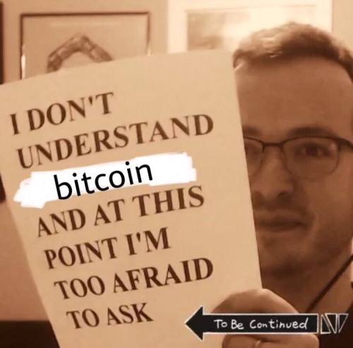woodmeat: all the spam bots dming me for bit-loans 