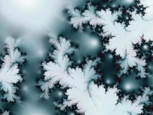 Winter Fractal