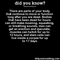 did-you-kno:  There are parts of your body that continue to move or function long after you are dead. Bodies that have been dead for hours can still make moaning, squeaking, or breathing sounds, men can get an erection and ejaculate, muscles can twitch