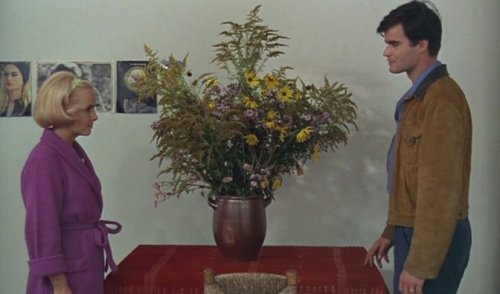Le bonheur (1965)