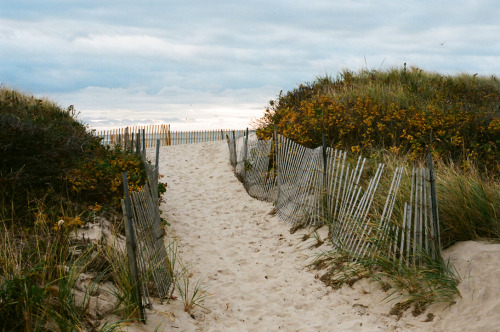 Montauk NY “kooks paradise” autumn 2013