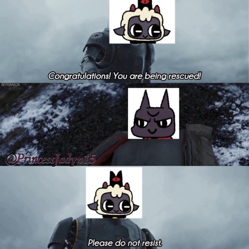 This Is How It Went Can You Cant Change My Mind