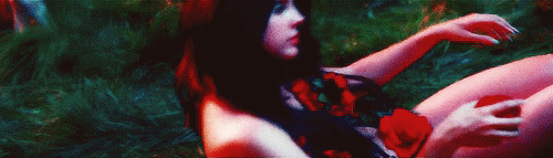 cervaantes:  Garden of Evil 