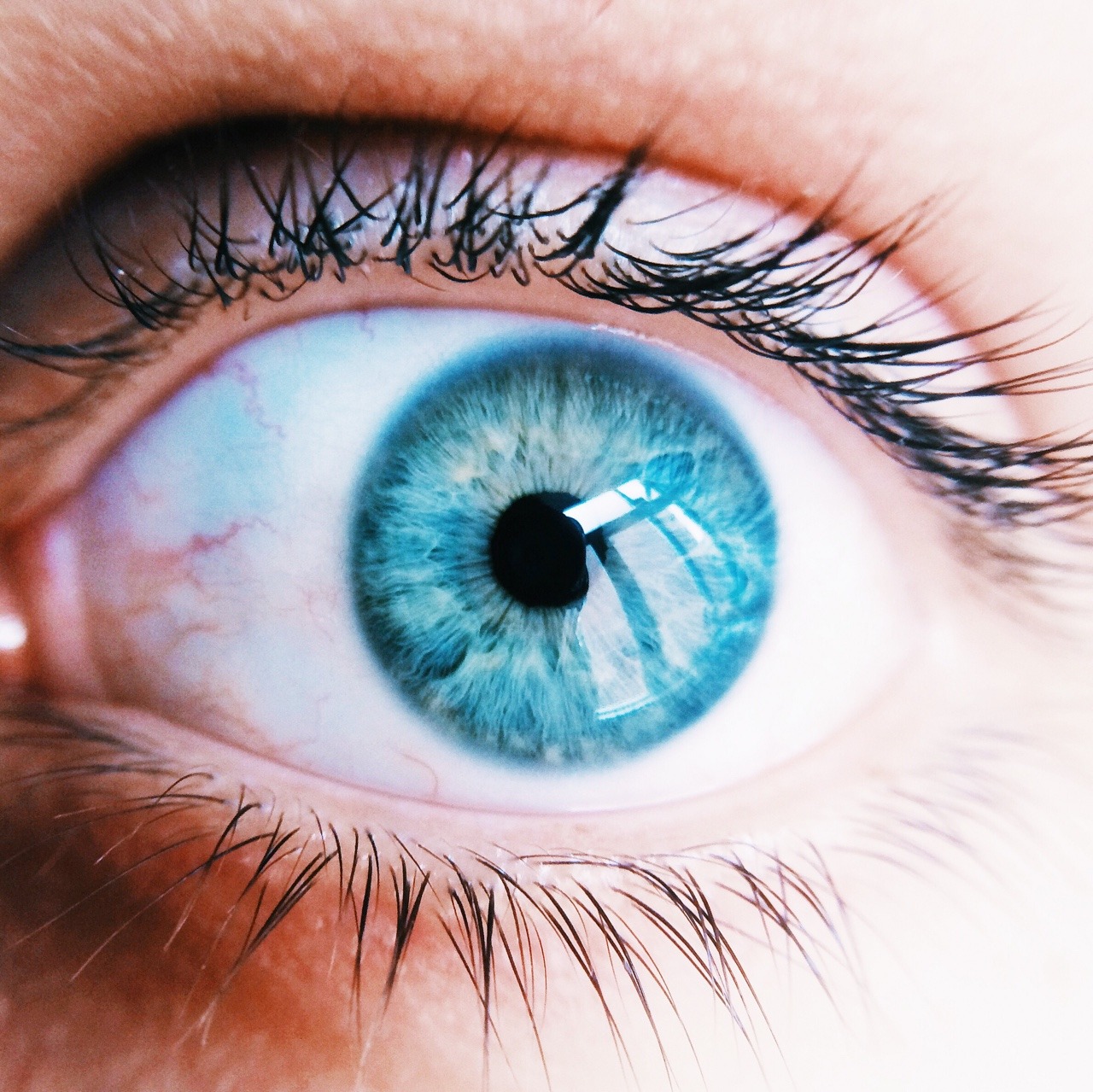 Céu Azul