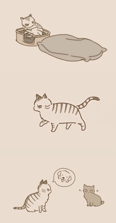 princesstigerbelle: kirujin: pr1nceshawn: Dogs And Cats by Lynol . aw It’s 2 am and I swear I&