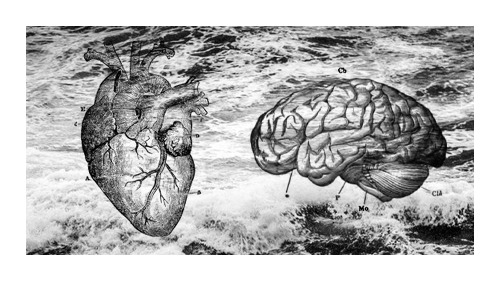  My brain has no heart, and my heart has no brain. That’s why when I speak my mind