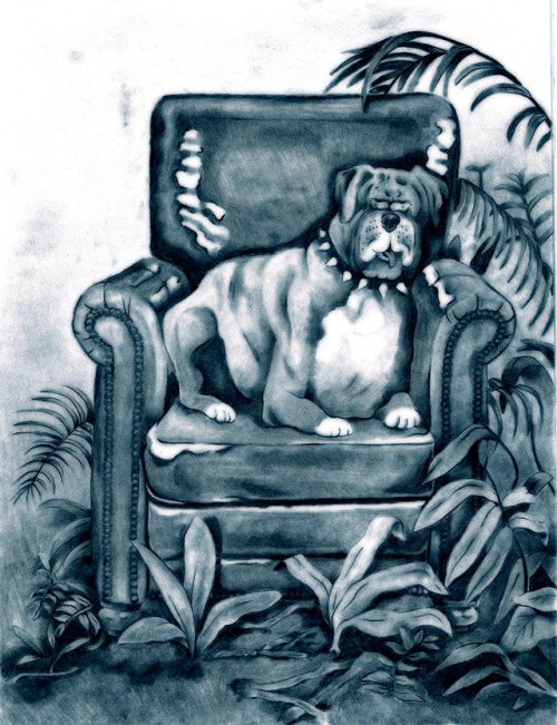 remymattei:Hi ! This is the dog I will be when I’ll return on earth after death.