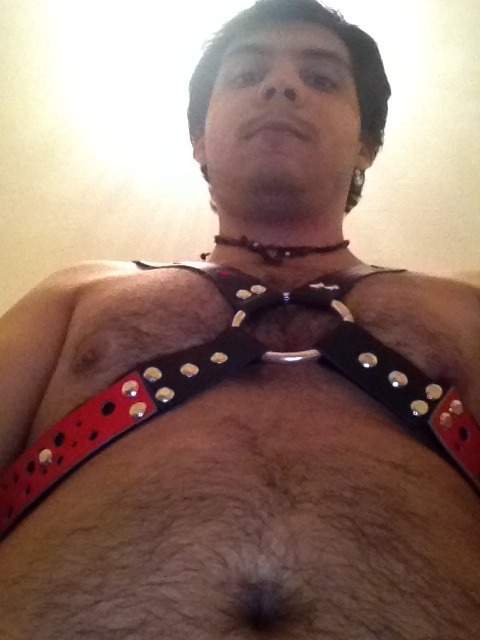 The life of a bear cub!!! xD