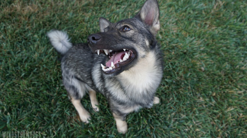 Play with me, Ro!! :D