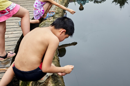 Pond Fishing, Chengdu, China 2012