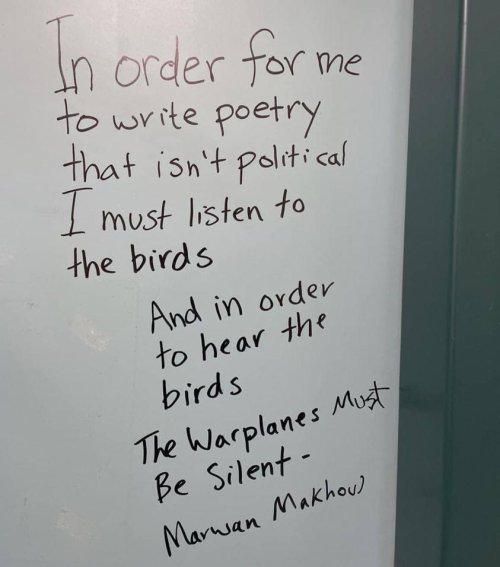 bird-home - bird