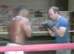 wujifighter:   A collection of my favorite Mike Tyson training gifs 