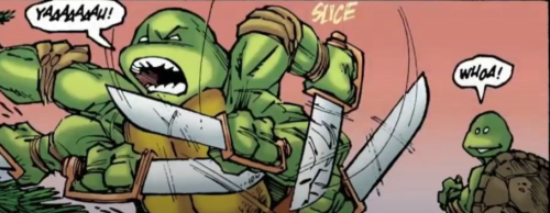 Mirage Turtles Without Masks >>>>