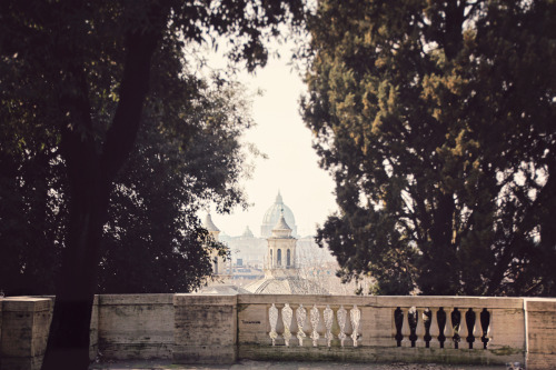 champagne:Rome from the Pincian Hill