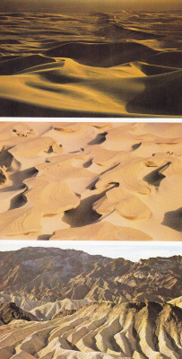 plant-scans:Mojave Desert and Death Valley, Natural Wonders, Susan Newcomer 1978