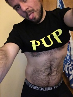 fuzzybottom90:Pups in a photo mood