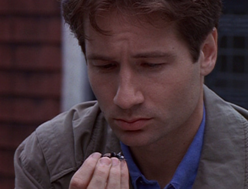 brehacrgana:scully doesn’t approve