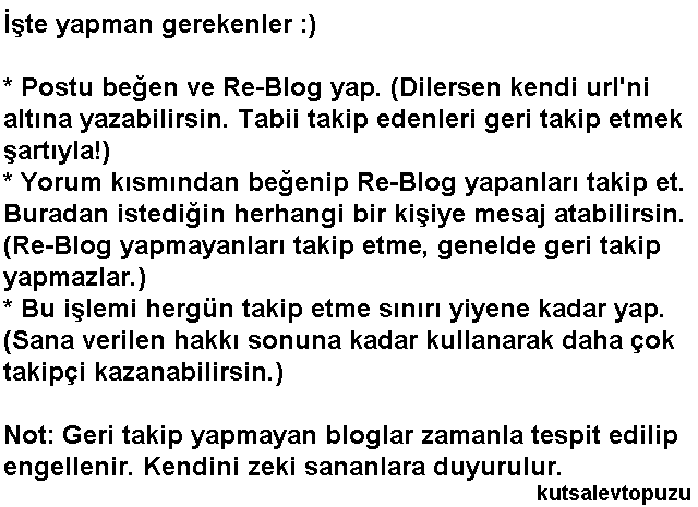 kutsalevtopuzu:  Sizin için, %100 GERİ TAKİP yapan 22 bloğu tespit ettim! Takip