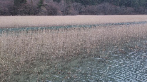 Water in Jiuzhai Valley九寨沟, Sichuan, China. Photo by me. 