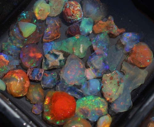 mineralizedmind: assorted fire opal from Mexico