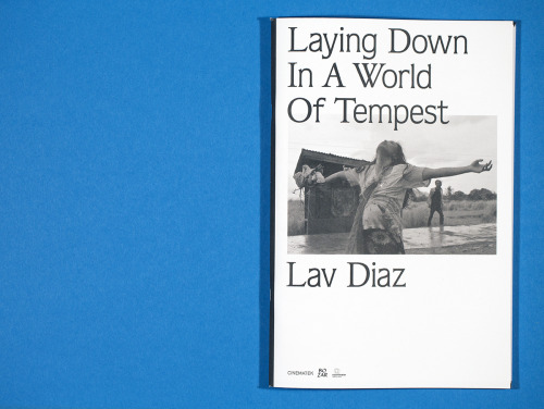 Laying Down in A World Of TempestLav Diaz96p, 180 × 270 mmBrussel: Cinematek, 2015