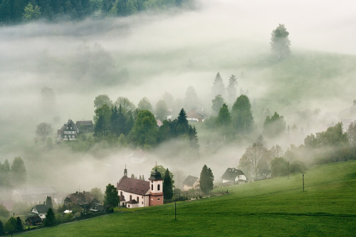 bluepueblo:  Foggy Valley, Jetrichovice, Czech Republic photo via pravesh