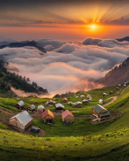 renamonkalou:Pokut | Ilhan Eroglu  Turkey