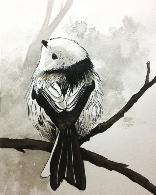 Precious little birb^_^ #inktober2018 #inktober #precious #bird #birb #longtailedtit #cutebird #fluf